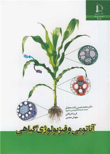 آناتومي و فيزيولوژي گياهي