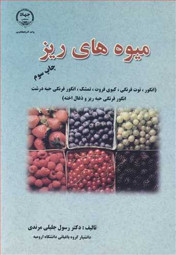 ميوه هاي ريز(انگور، توت فرنگي، کيوي فروت، تمشک، انگورفرنگي حبه درشت،