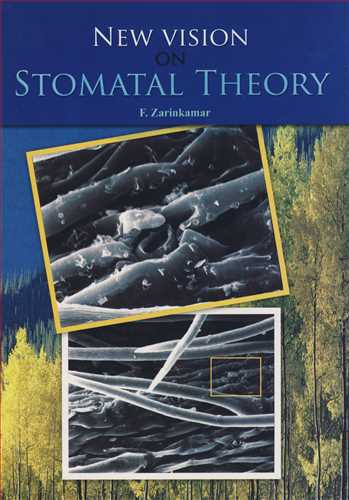 NEW VISION ON STOMATAL THEORY