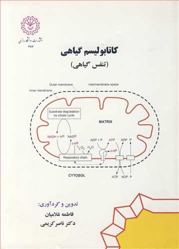 کاتابولیسم گیاهی