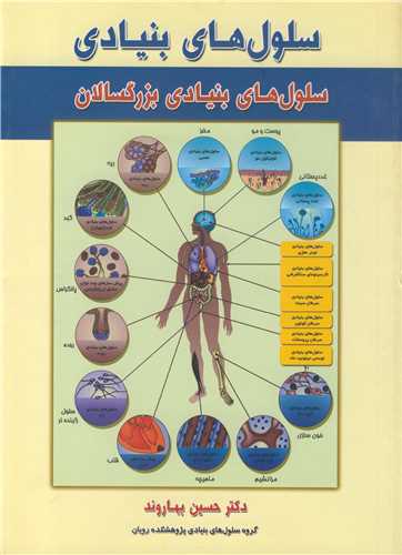 سلول های بنیادی سلول های بنیادی بزرگسالان 2