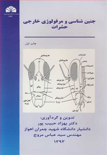 جنین شناسی و مرفولوژی خارجی حشرات