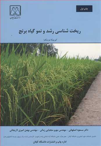 ریخت شناسی رشد و نموگیاه برنج