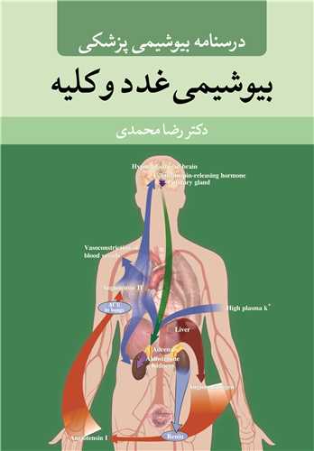 درسنامه بیوشیمی پزشکی بیوشیمی غدد و کلیه