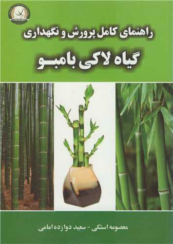 راهنماي کامل پرورش و نگهداري گياه لاکي بامبو